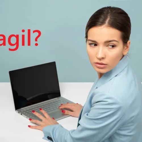 Postagilität – Weiterdenken jenseits „klassischer agiler Methoden“ oder Scheitern der Agilität?