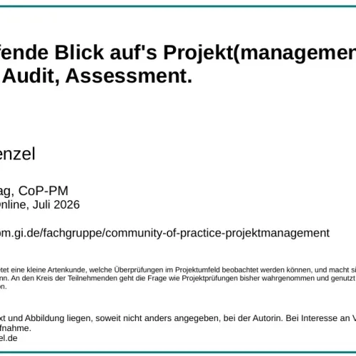 Der prüfende Blick auf’s Projekt(management): Review, Audit, Assessment.